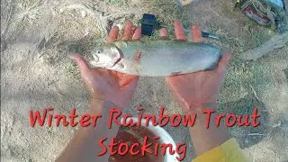 Dave White Regional Park Rainbow Trout Stocking! Fish, Friends and Good Memories 👍🏽