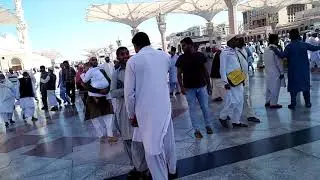 Masjid un Nabavi ii