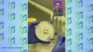 Preservación en frío para Cepas de agar… conservación cultivo de hongos