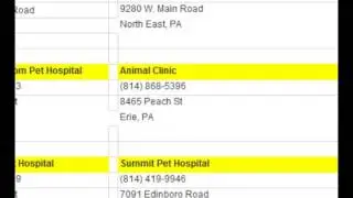 World Spay Day Awareness 2014
