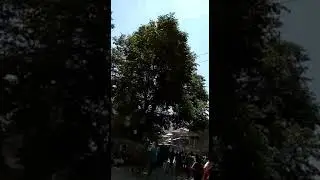 Firing in Kashmir and stone pelting