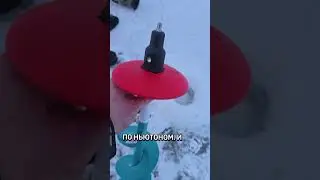 все.  наловился.