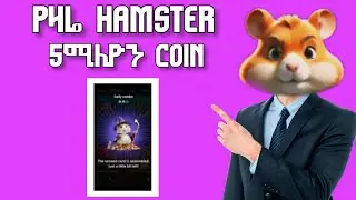 የዛሬ ሀምስተር 5000000 ሚሊየን ኮይን/Hamster daily comb #hamsterkombat @Osmiteck @bighabesha