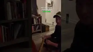 I showed my cat magic tricks 😺🪄 #magictricks #cats #cardmagic