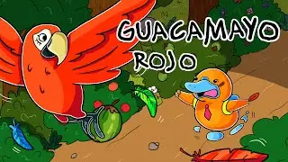 Hola Flinko - Guacamayo Rojo / Capítulo 25 Completo Temporada 1