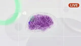 E293 (LIVE) - Neurorights for Brain-Computer Interfaces