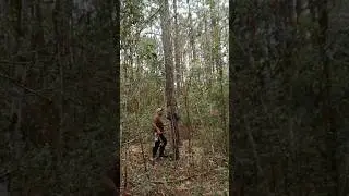 cortando estria facalzinho