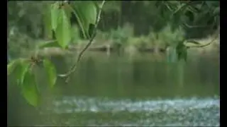 Roman Lakes