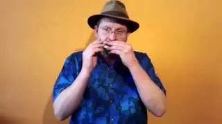 The 12-hole SLIDE DIATONIC Harmonica - for Authentic Irish Playing