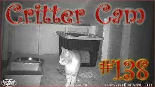 Critter Cam #138 - Where is Everybody?