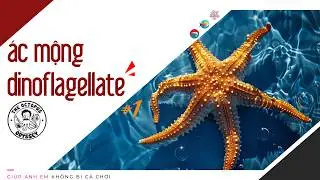 Đừng tưởng cứ sạch là tốt | Phần 1: Nguồn gốc, tác hại của Dinoflagellate
