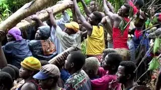 Sleeping Sickness in the Congo