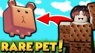 I GOT ONE OF THE BEST PETS IN FIREWORK SIMULATOR?