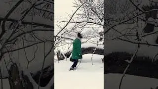 Trening z psami czy chwila relaksu?