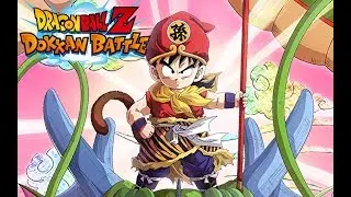 BRAND NEW PHY LR GOHAN SHOWCASE! HOW GOOD IS HE REALLY? (DBZ: Dokkan Battle)
