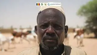 Koudjourou : effervescence au marché hebdomadaire du bétail malgré des défis persistants