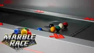 SCOMMESSE sulle GARE con le BIGLIE: Proviamo il nuovo MARBLE RACE!
