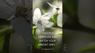 #HolisticLiving #MentalWellness #SelfCareJourney #MindBodySpirit #MindfulLife #StressRelief #Wellnes