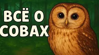 Все о сове | Видео для малышей
