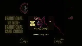 🧠 Understanding Cane Corso Temperaments! #CaneCorso #BreedInsight
