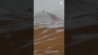Sahara Desert sand dunes get rare dusting of snow