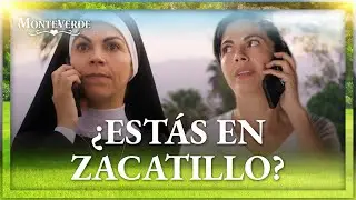 Celeste explota contra Carolina | Monteverde 4/4 | Capítulo 60