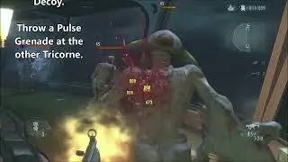 Stage 12 (Abyss) Trinity Bonus [Solo] - Guide - [Observation Deck] (No Dodge) [QZ_V.2]