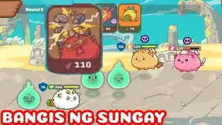1 PLANT VS BIRD + BEAST | HOW TO WIN AGAINST TWO AXIE? | OFFSEASON AXIE