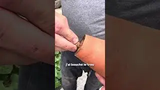 Arrosage naturel : fabriquez votre oya en 3 &eacute;tapes💧 #mrbricolage #potager #jardinage #arrosage #eau
