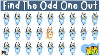 Find the ODD One Out - Bluey | Brain Break | Bluey Game For School