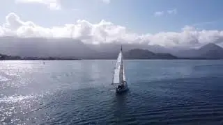 Cal 40 