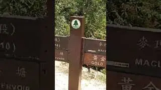 first hike 👣⛰️🏞️& alone 🤗 #short #shortvideo #hiking #alone