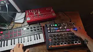 Will the drumbrute impact jungle?