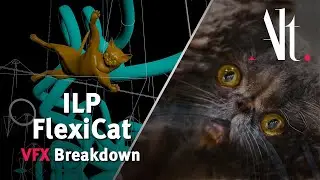 Income Insurance FlexiCat - VFX Breakdown | Alt.vfx