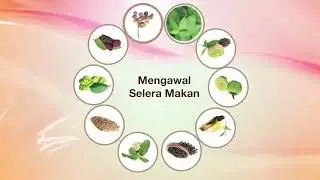 Slendglow Official Video MALAY