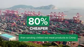 The Argyle Food Group story: Developing a producer-led red meat value chain
