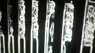 AVERY PLAINS - Smells Like Trombone