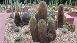 Royal Melbourne Botanical Garden (মেলবোর্ন বোটানিক্যাল গার্ডেন)