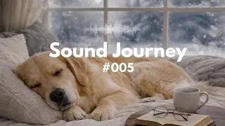 Soft Whispers & Warm Wood  | 1 Hour Relaxing Acoustic Pop Lullaby for Sleep & Calm No.005