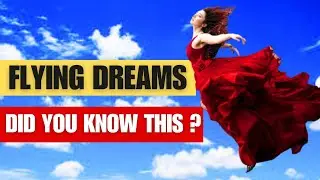 DREAM ABOUT FLYING | 7 Flying Dreams Meaning | What Does it Mean to Fly in Dreams?