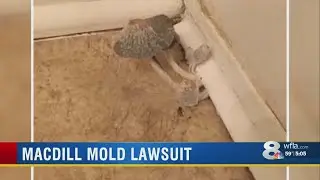 Attorney files suit against private companies that maintain military housing at MacDill