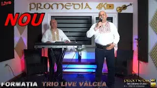 FORMATIA TRIO LIVE VALCEA ❌CONSTANTINE, CONSTANTINE❌ ALIN CAZACU