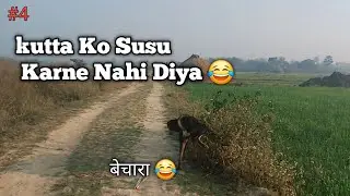 Aaj Kutta Ko Susu Karne Nahi Diya 😂 || FUNNIEST Dog, Cat and Animal Videos of 2025 You'll Ever See 😸