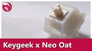 Do they measure up? | Keygeek x Neo Oat switch sound test and review