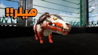 ارك برايمل فير سبيشل #5 | دخول تير الألفا🔥!Ark Primal Fear