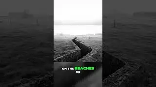 D Day Deception  Allied Intelligence Wins WWII