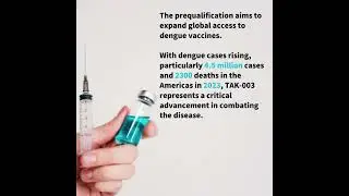 WHO Prequalifies New Dengue Vaccine TAK-003#UN #worldnews #uvs #sdgs#vaccine #Dengue #Denguevaccine