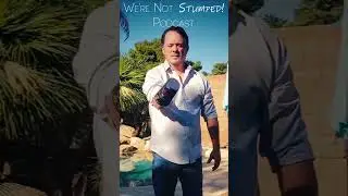 Flipping a Cup with No Hand?! Watch This!