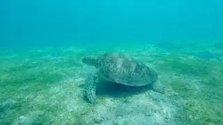 Why You Should Visit Sablayan, Occidental Mindoro?