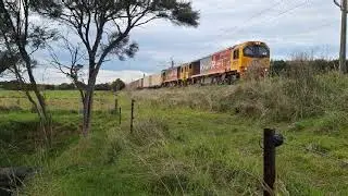 DL's through Rangitawa #newzealand #trainspotting #foaming #kiwirail #dieselpower